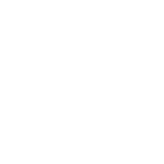 Sanmina Logo
