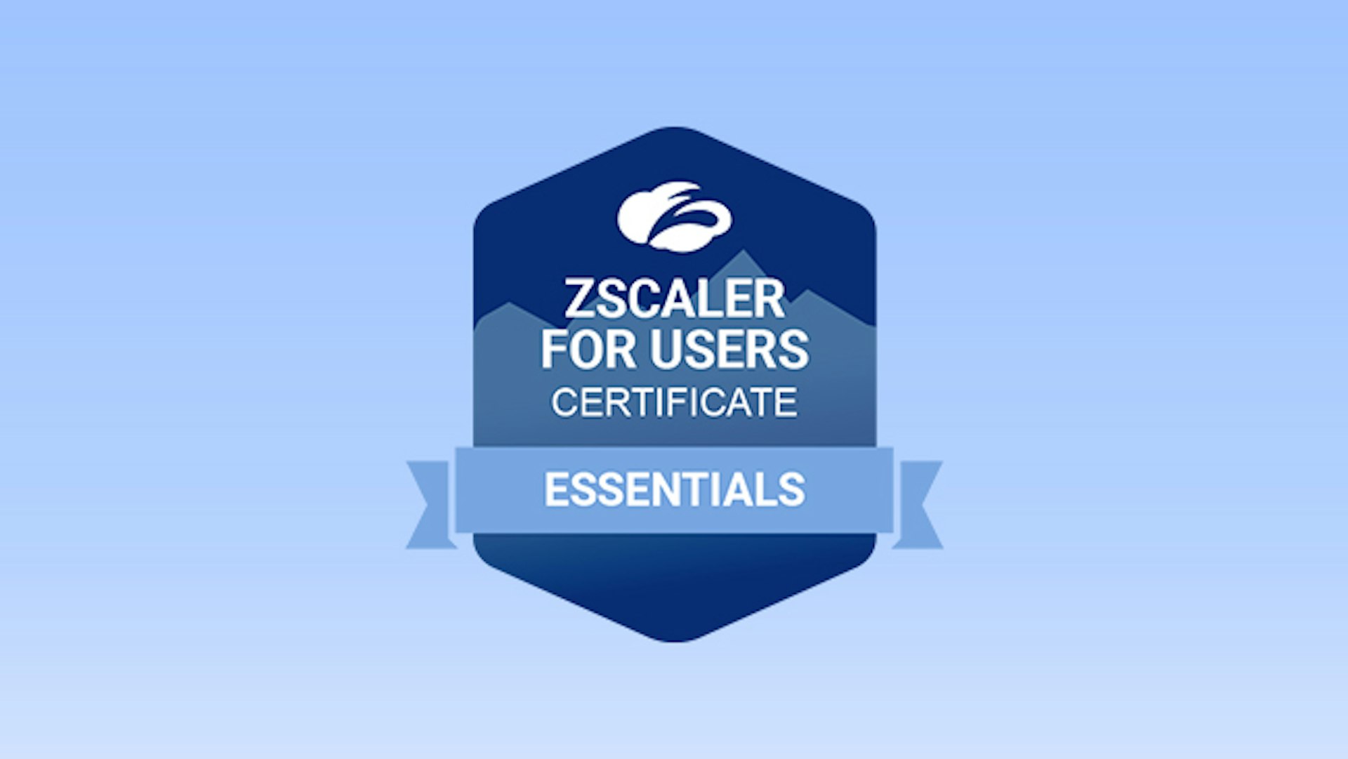 Zscaler for Users (Zscaler para usuarios): formación de Essentials (EDU-200)